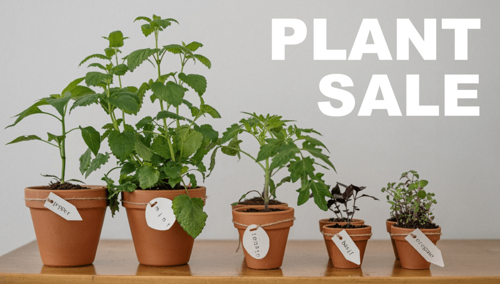 Plant Sale 2021